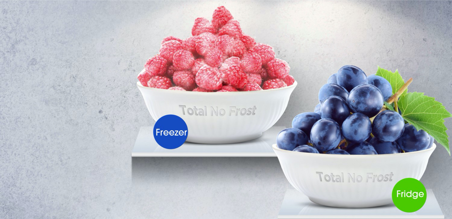 Hisense Refrigerator RC-67WS - No Frost