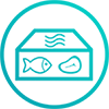 Fresh Box icon