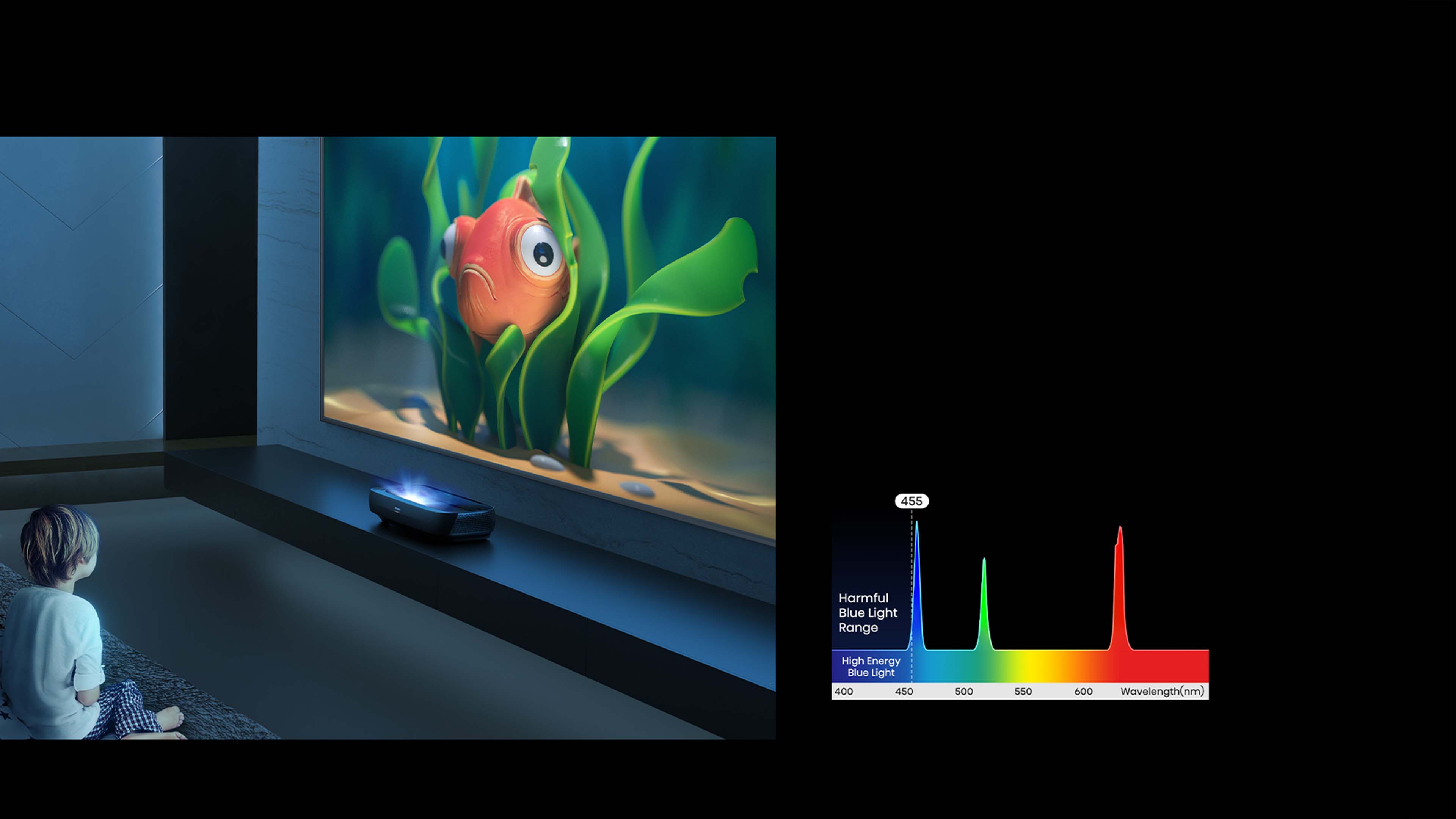 Hisense 100L9G Eye Protection 1 