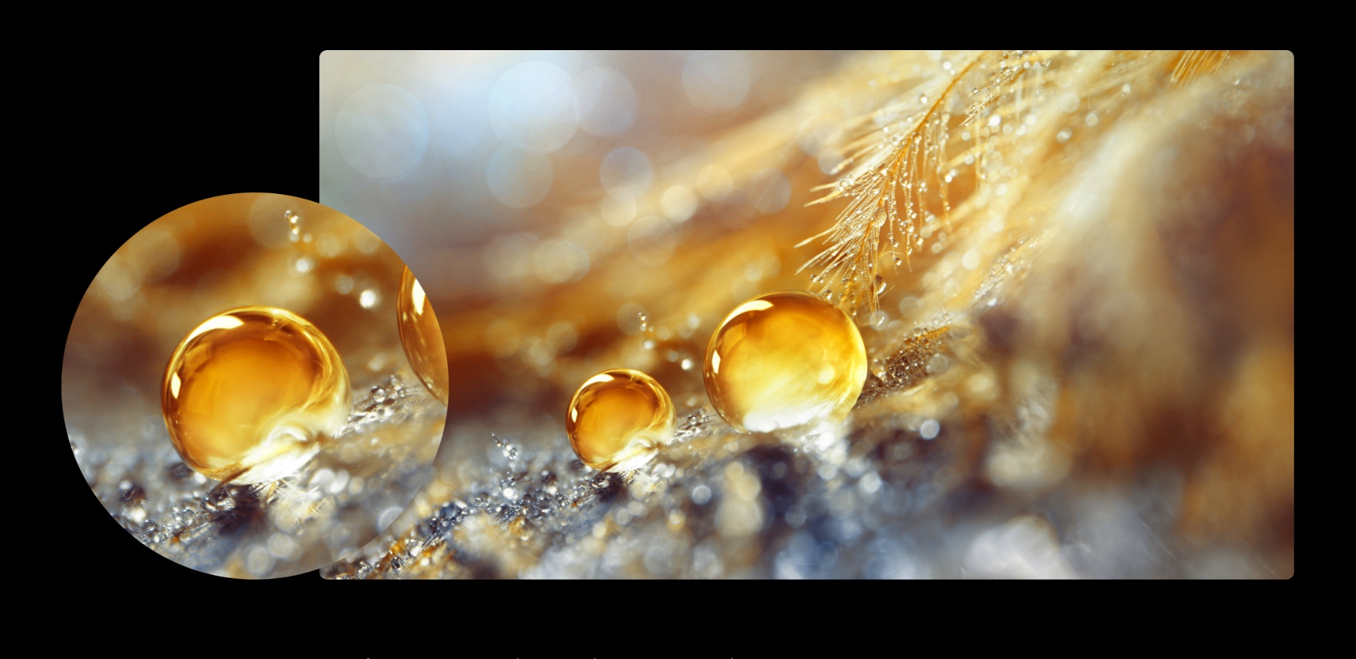 Hisense H50 Lite - Macro Shot