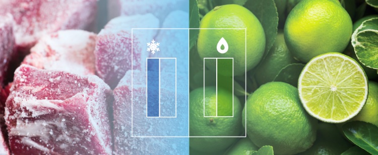 Hisense BCD535 - Independent Fridge and Freezer Zone feature image - mobile